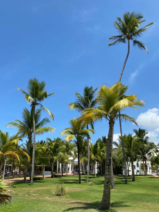 Gartenanlage Hotel Riu Palace Punta Cana