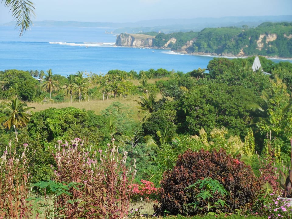 Ausblick auf die Küste von Lamboya Sumba Nautil