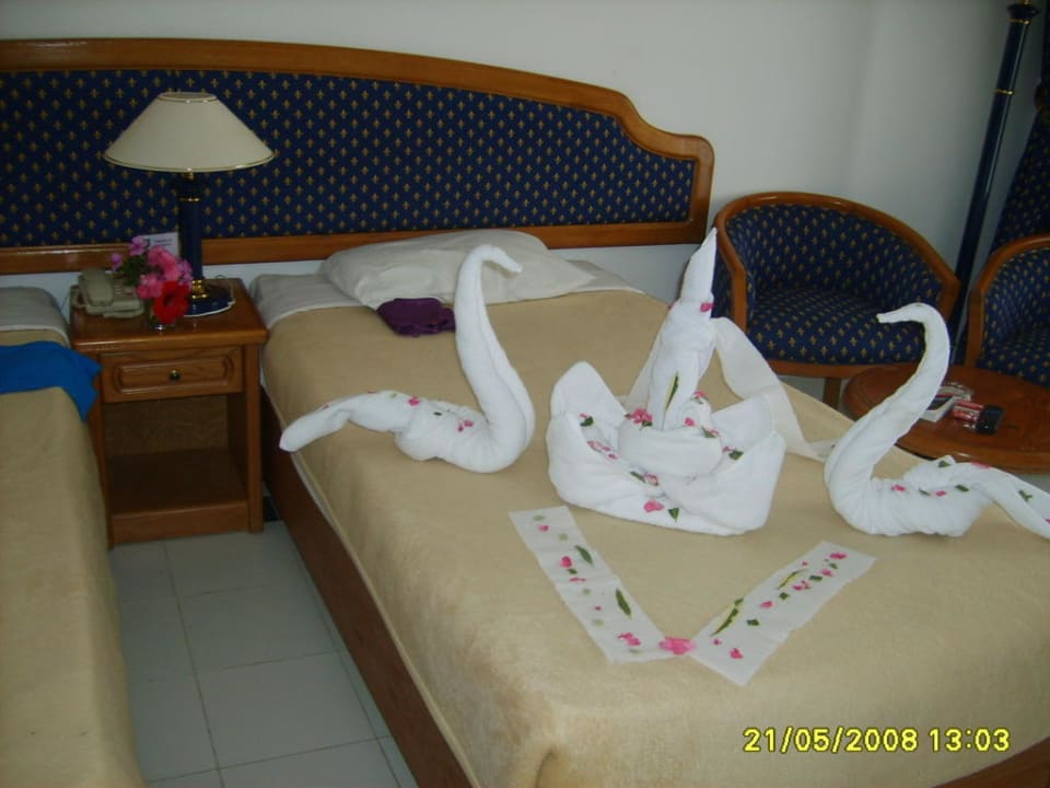 Poranne sprzątanie Desert Rose