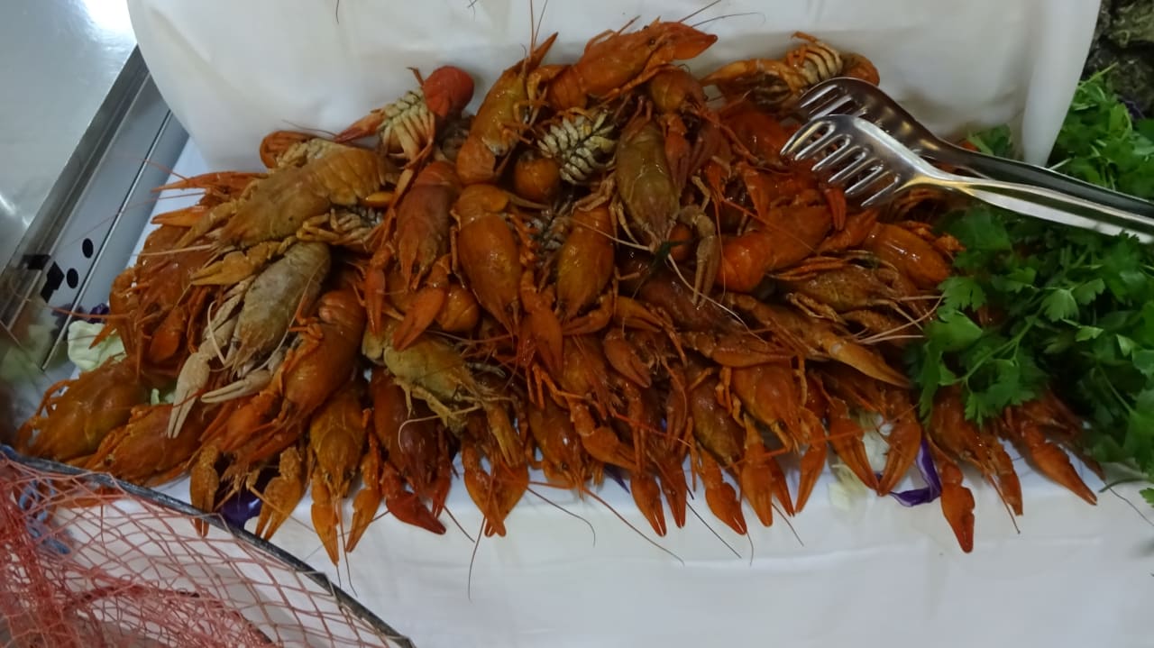 Gastro Adalya Ocean Deluxe