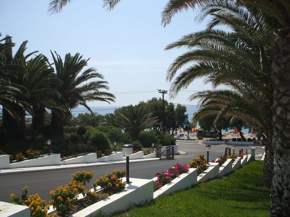 Traumhafte Palmen Lagas Aegean Village