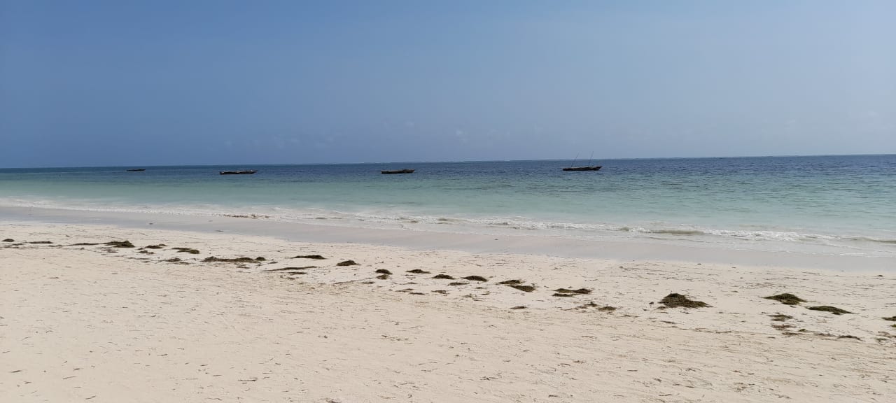 Strand Hotel Kiwengwa Beach Resort