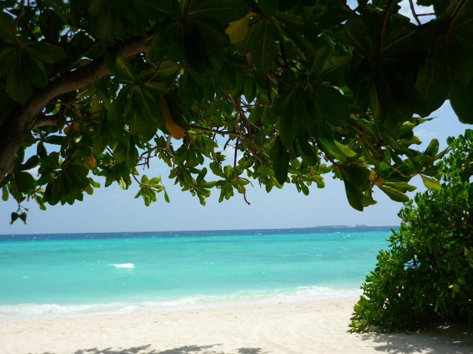  15.03.2012 Kuramathi Maldives