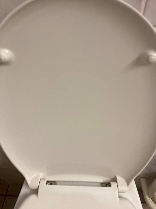 Zimmer Best Western Parkhotel Brehna - Halle