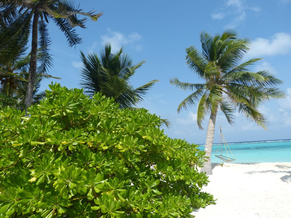 Superiorbungalow 219 Summer Island Maldives