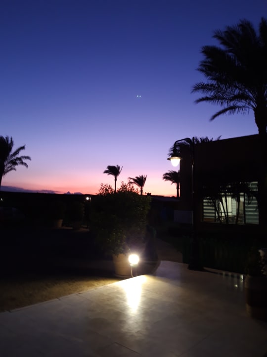 Lobby Stella Garden Resort & Spa, Makadi Bay
