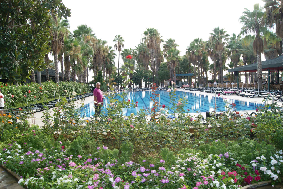 Großer Pool Hotel Meryan