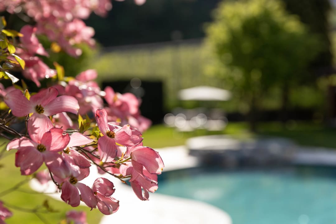 Gartenanlage Hotel Burggräflerhof