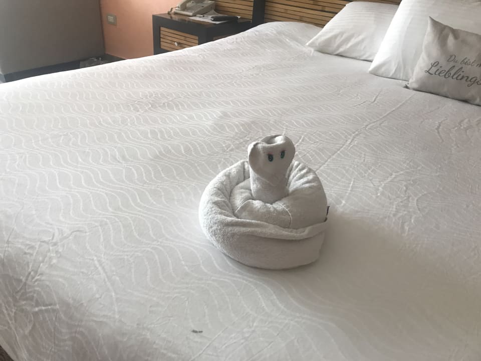 Zimmer Sandos Playacar Beach Resort