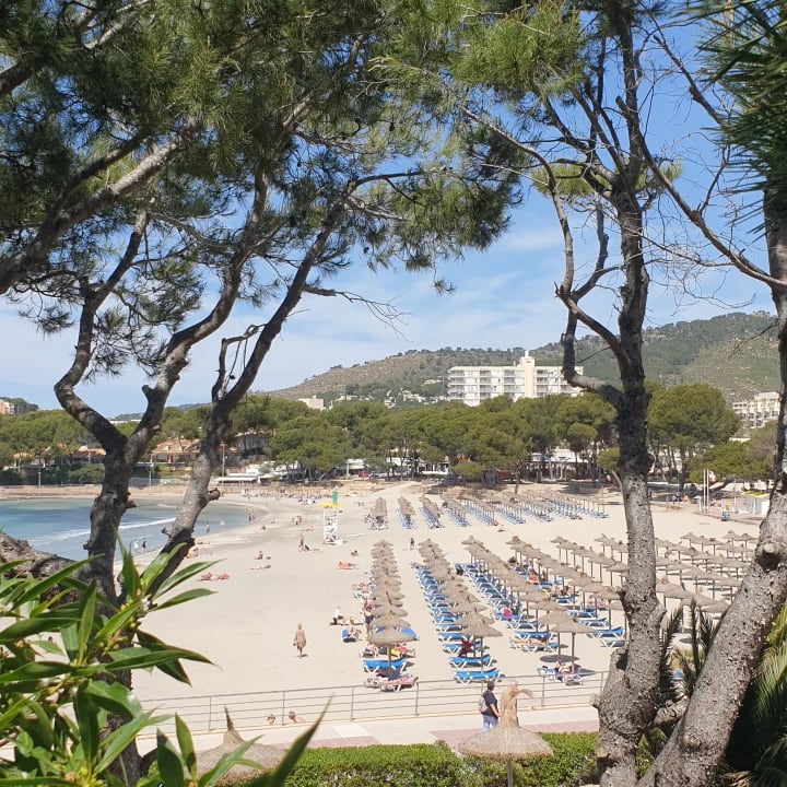 Außenansicht Hotel Vibra Beverly Playa