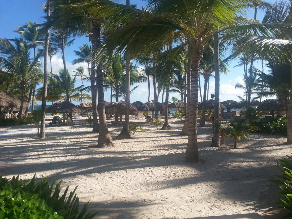 Strand  "Royal"-Bereich Catalonia Royal Bavaro - Adults only