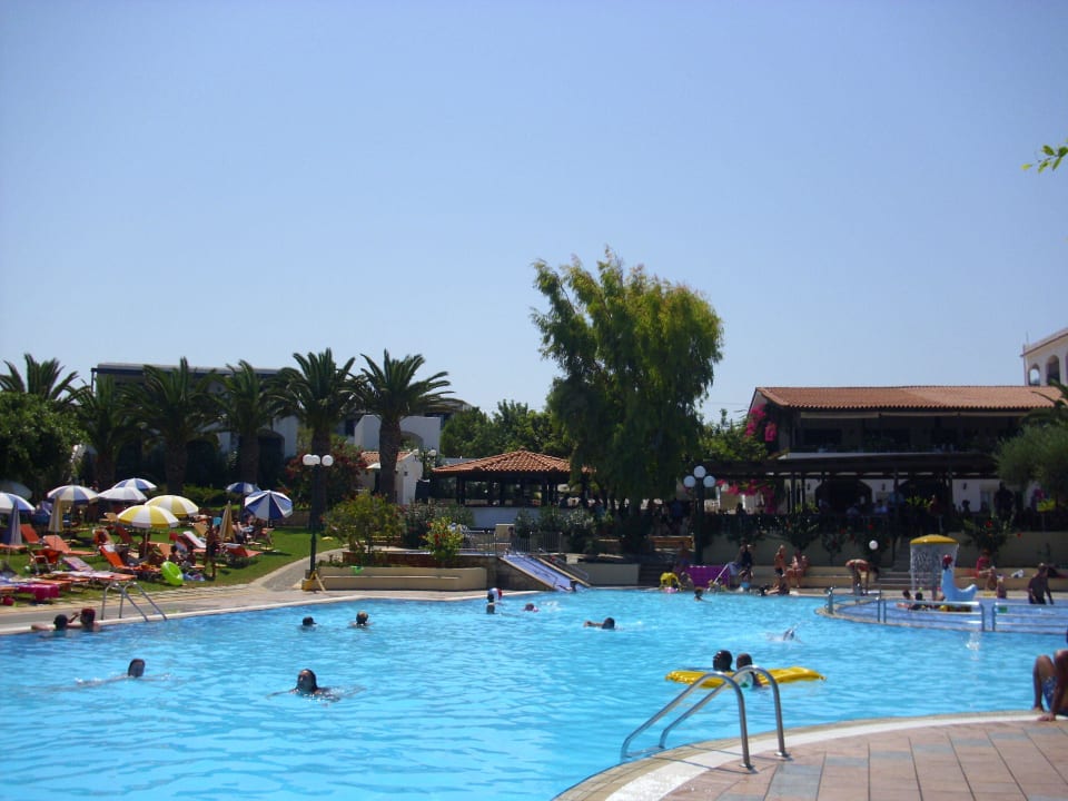 Pool TUI SUNEO Chrissi Amoudia