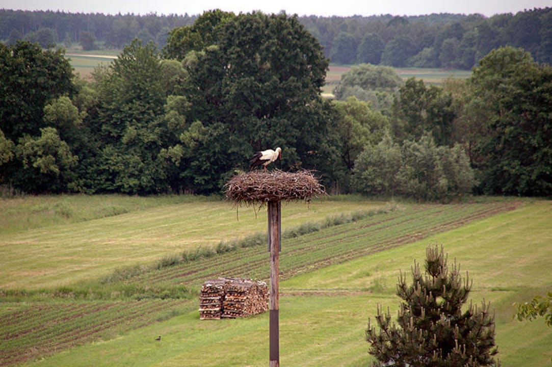 Ausblick von unseren Zimmer beim Krutzler Genussgasthof & Hotel