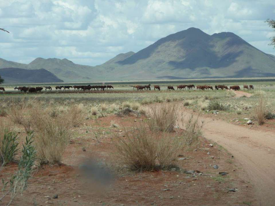 20 km bis zur Ranch über Farmwege Koiimasis Ranch