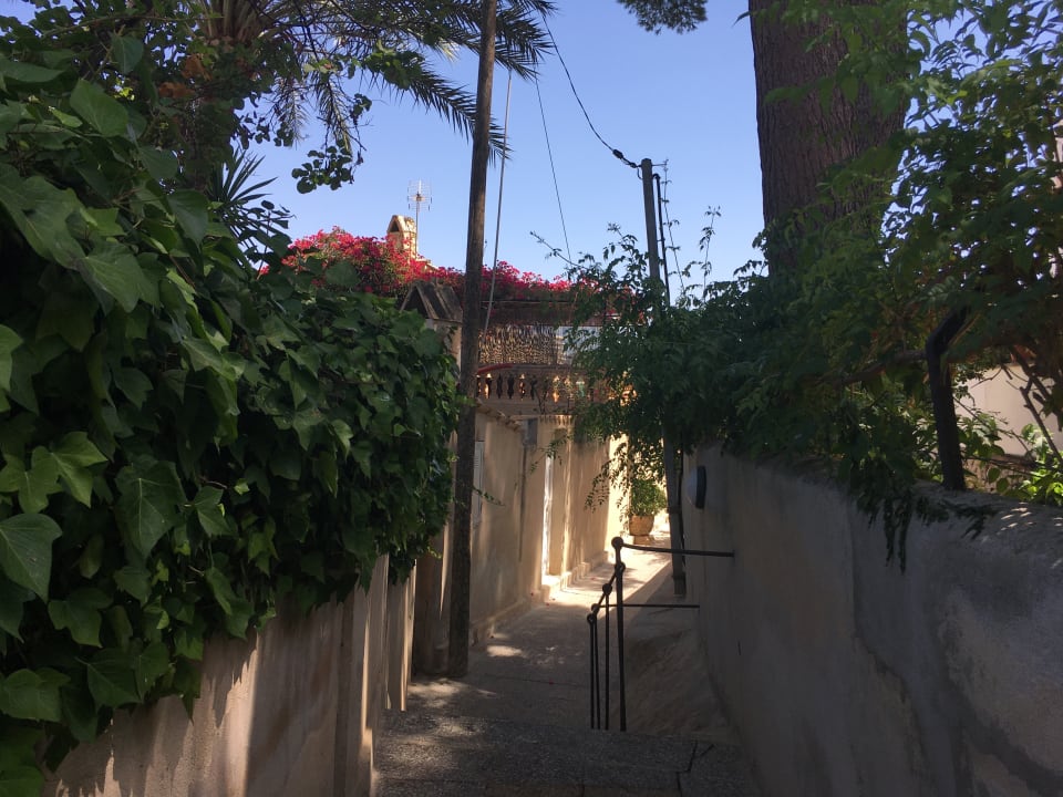 Gartenanlage FLOR los Almendros Hotel