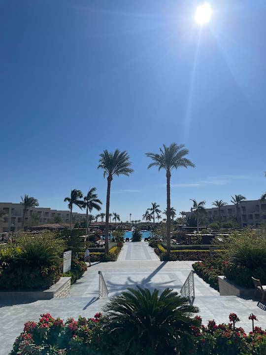 Ausblick Steigenberger Resort Ras Soma