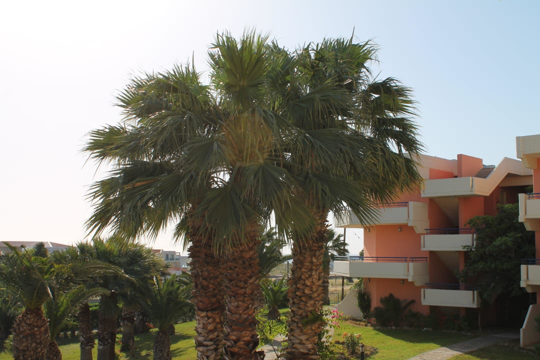 Aussicht vom Zimmer Kresten Palace Hotel