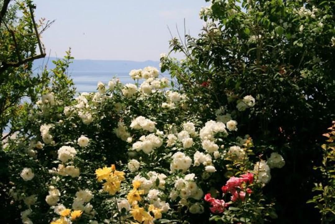 Garten Villa Margitta