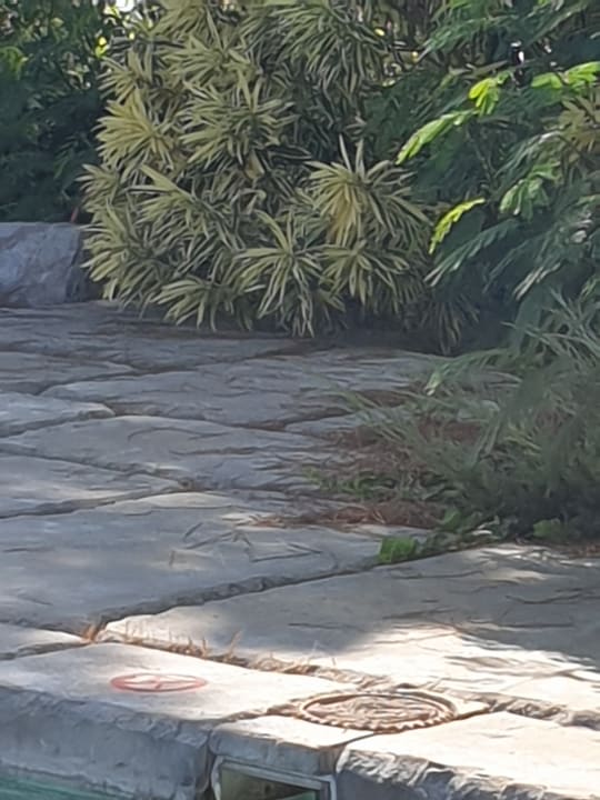 Sonstiges Xanadu Resort Hotel