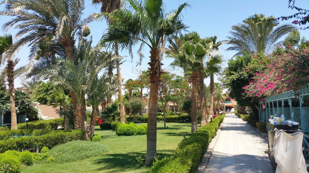 Gepflegter Garten Giftun Azur Resort