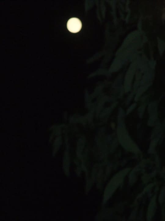 Vollmond über Dalyan Hotel Metin