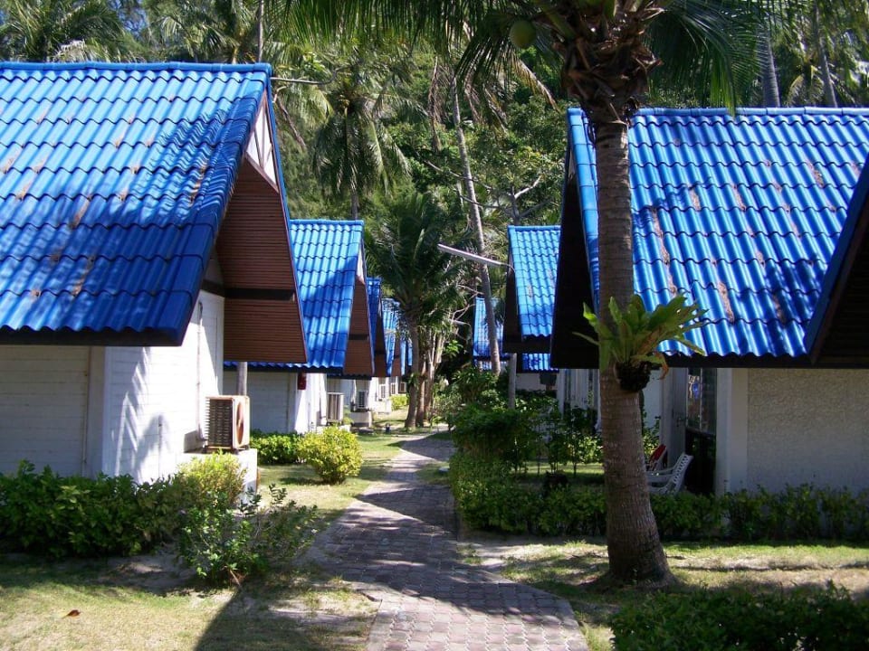 Bungalows auf der Strandseite Hotel Coral Island Resort