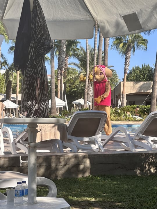 Pool Kamelya Aishen Club