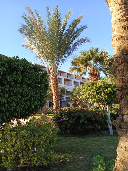 Garten Fort Arabesque Resort, Spa & Villas