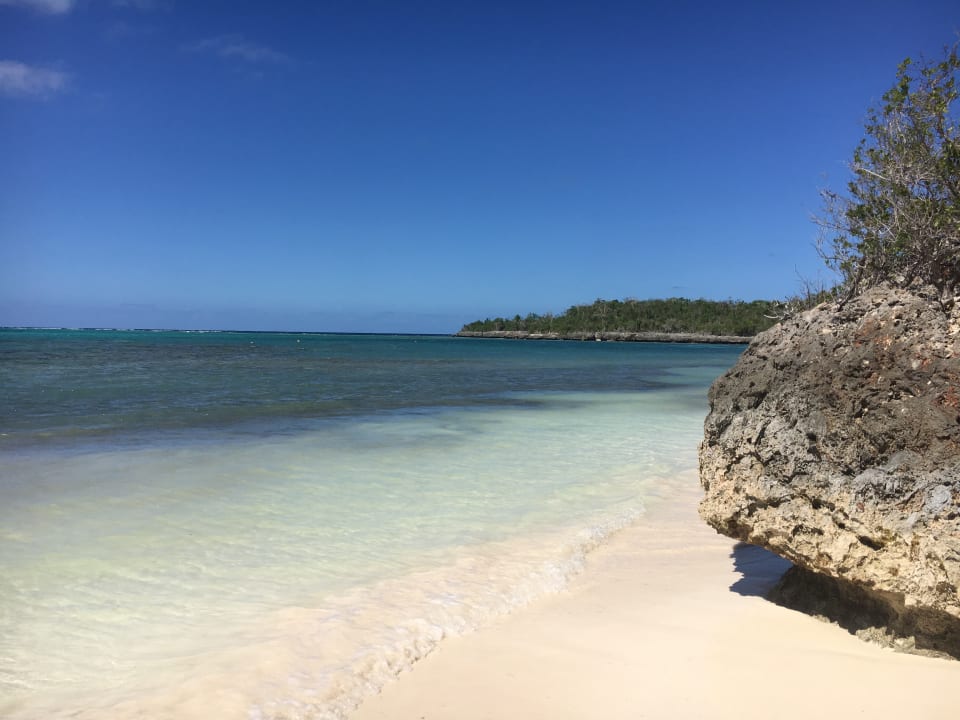 Strand Paradisus Rio de Oro Resort & Spa - Adults only