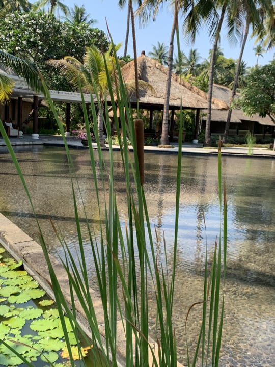 Garten Hotel The Oberoi Lombok