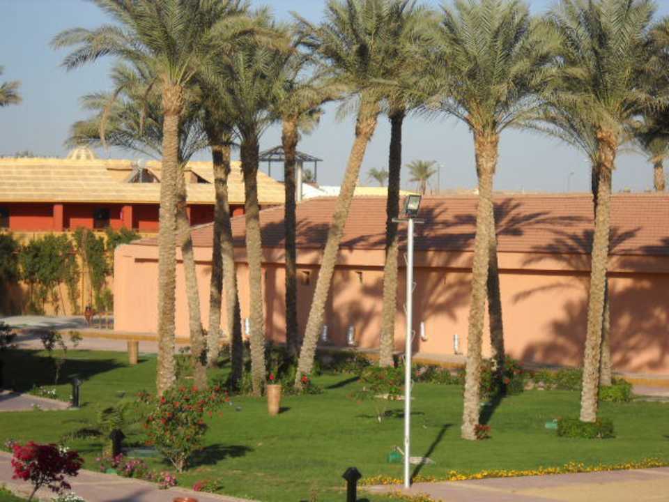 Sehr gepflegt Pickalbatros Alf Leila Wa Leila Resort - Neverland Hurghada