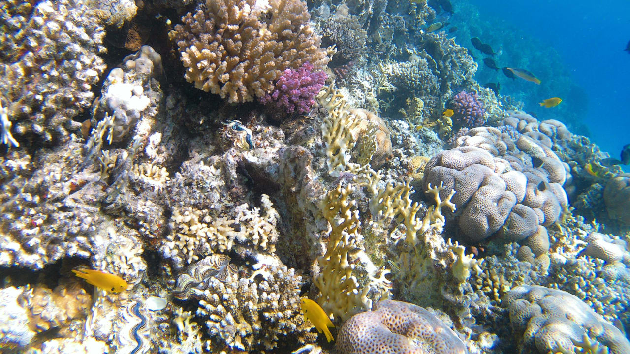 Sport & Freizeit Makadi Spa - Adults only