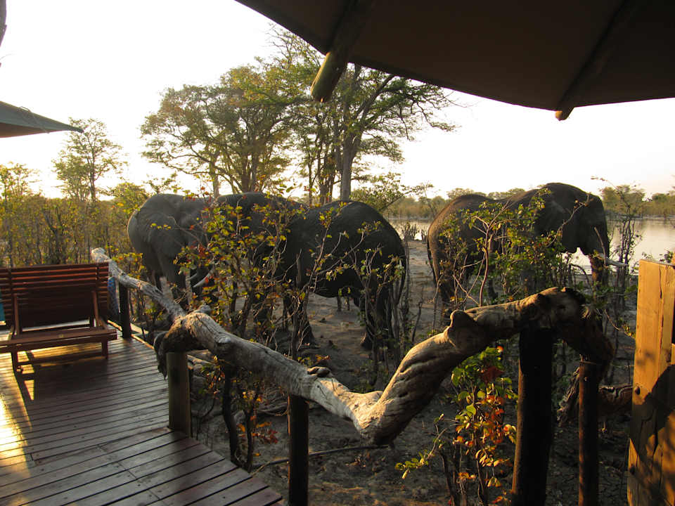 Sonstiges Hyena Pan Tented Camp