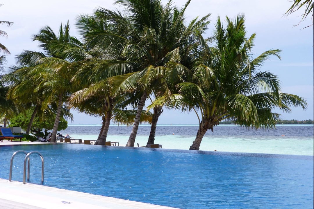 Infinity Pool im Adult Bereich Vilamendhoo Island Resort & Spa