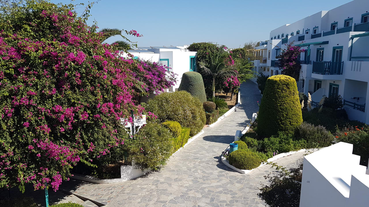 Ausblick Mastichari Bay Hotel