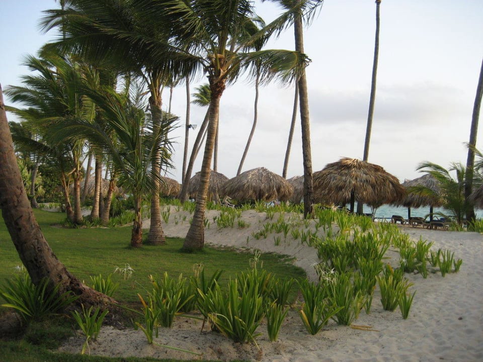 Strand Grand Palladium Punta Cana Resort & Spa