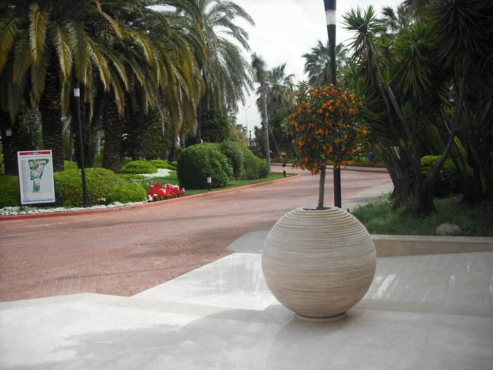 Eingang Side Star Elegance