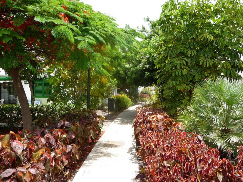 Verbindungsweg Bungalows Cordial Sandy Golf