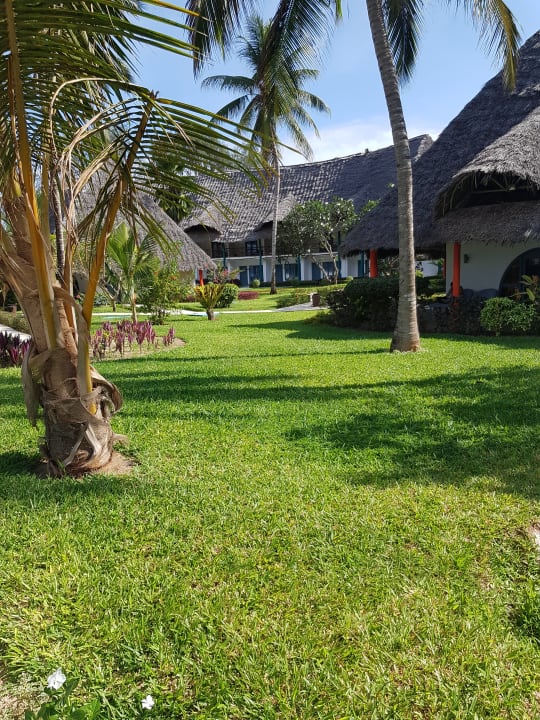 Gartenanlage Hotel Kiwengwa Beach Resort