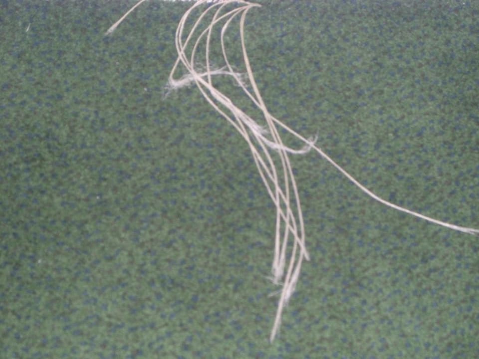 Flur Hotel Hullu Poro