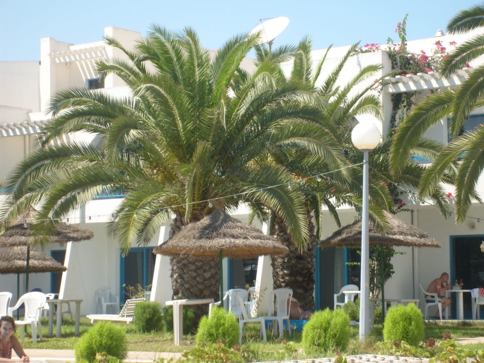 Widok na hotel Residence Kantaoui