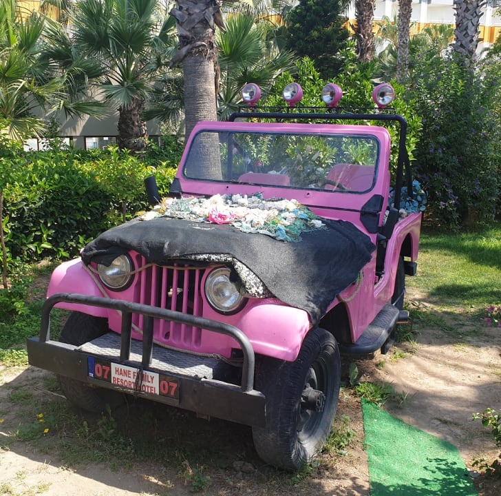 Gartenanlage Hane Family Resort