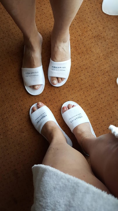 Wellness Hotel Aquarius Spa