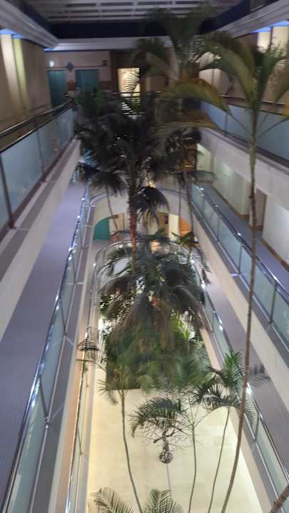 Lobby IFA Altamarena by Lopesan Hotels