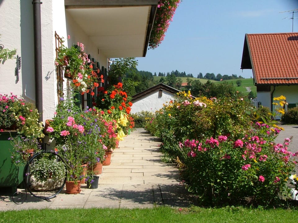 Blumen Gästehaus am Kurpark