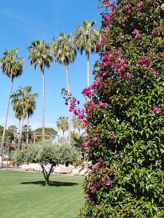 Außenansicht Acanthus Cennet Barut Collection