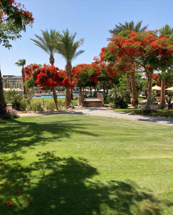 Gartenanlage Steigenberger ALDAU Beach Hotel