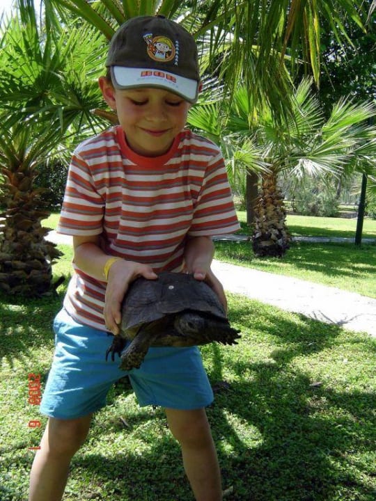 Gartenanlage TUI BLUE Sarigerme Park