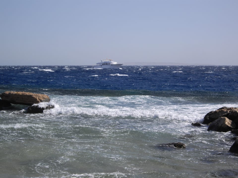 Ausblick aufs Meer Pickalbatros Citadel Resort