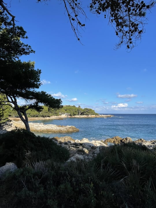 Ausblick Iberostar Waves Pinos Park